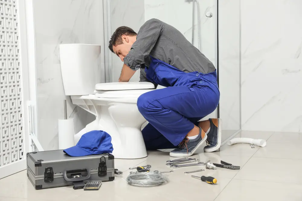 Toilet Repair in Fort Ransom